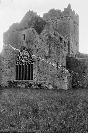 KILCOOLEY ABBEY E. GABLE & WINDOW